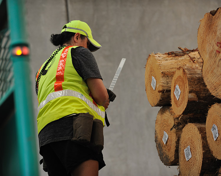 Linksafe manufacturing safety systems and solutions